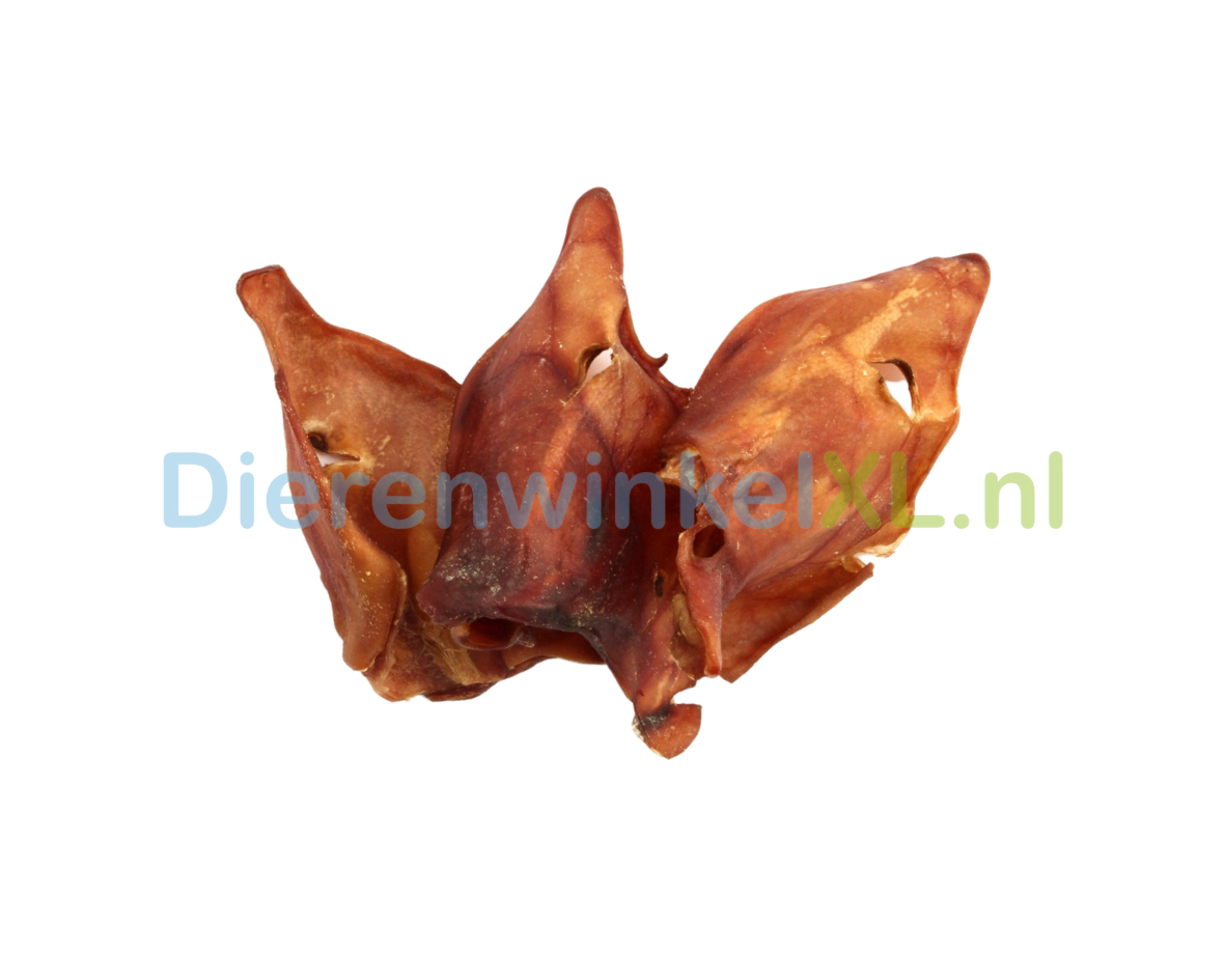 Varkensoren Medium