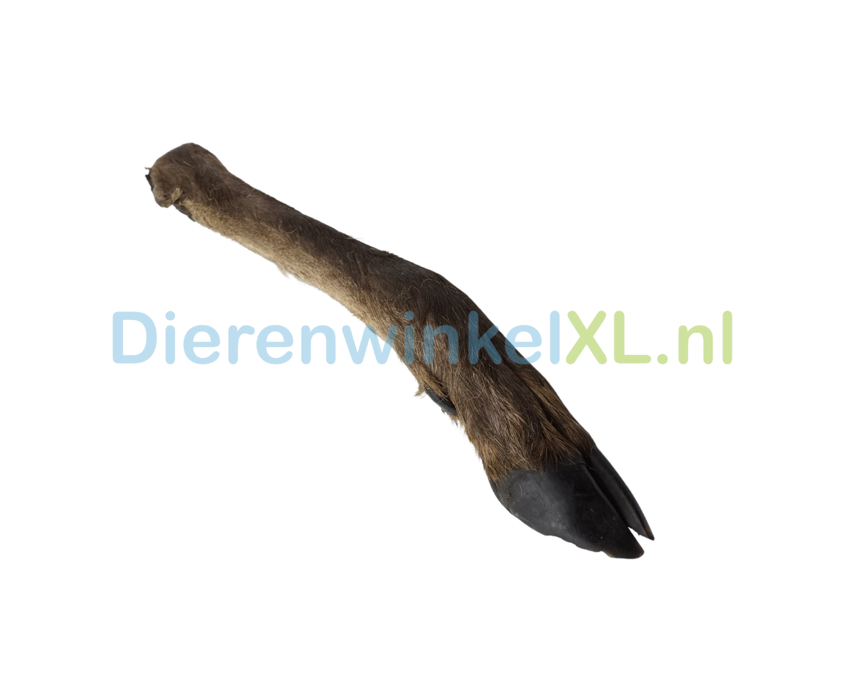 Hertenpoot met Haar